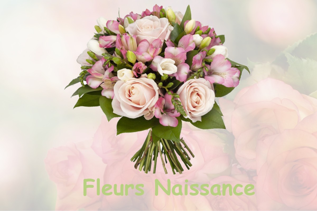 fleurs naissance SAINT-PIERRE-DE-SOUCY